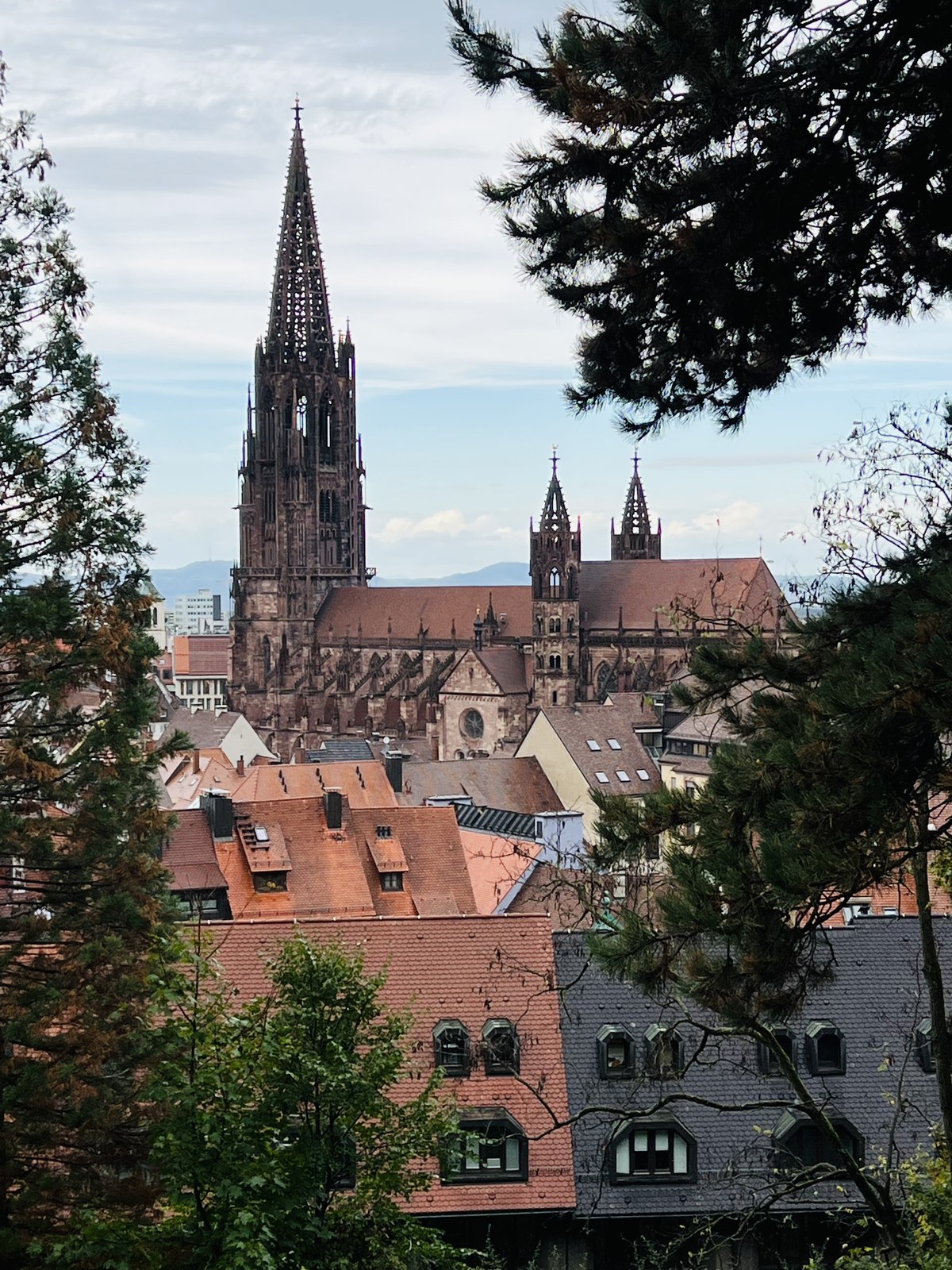 Stadtpanorama Freiburg im Breisgau