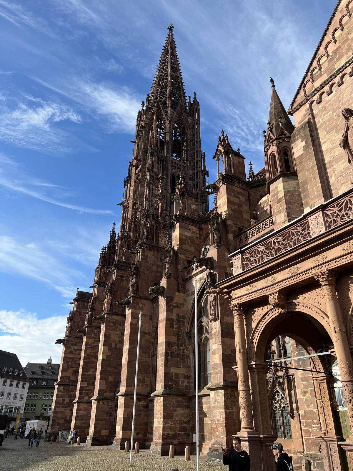 Das gotische Freiburger Münster