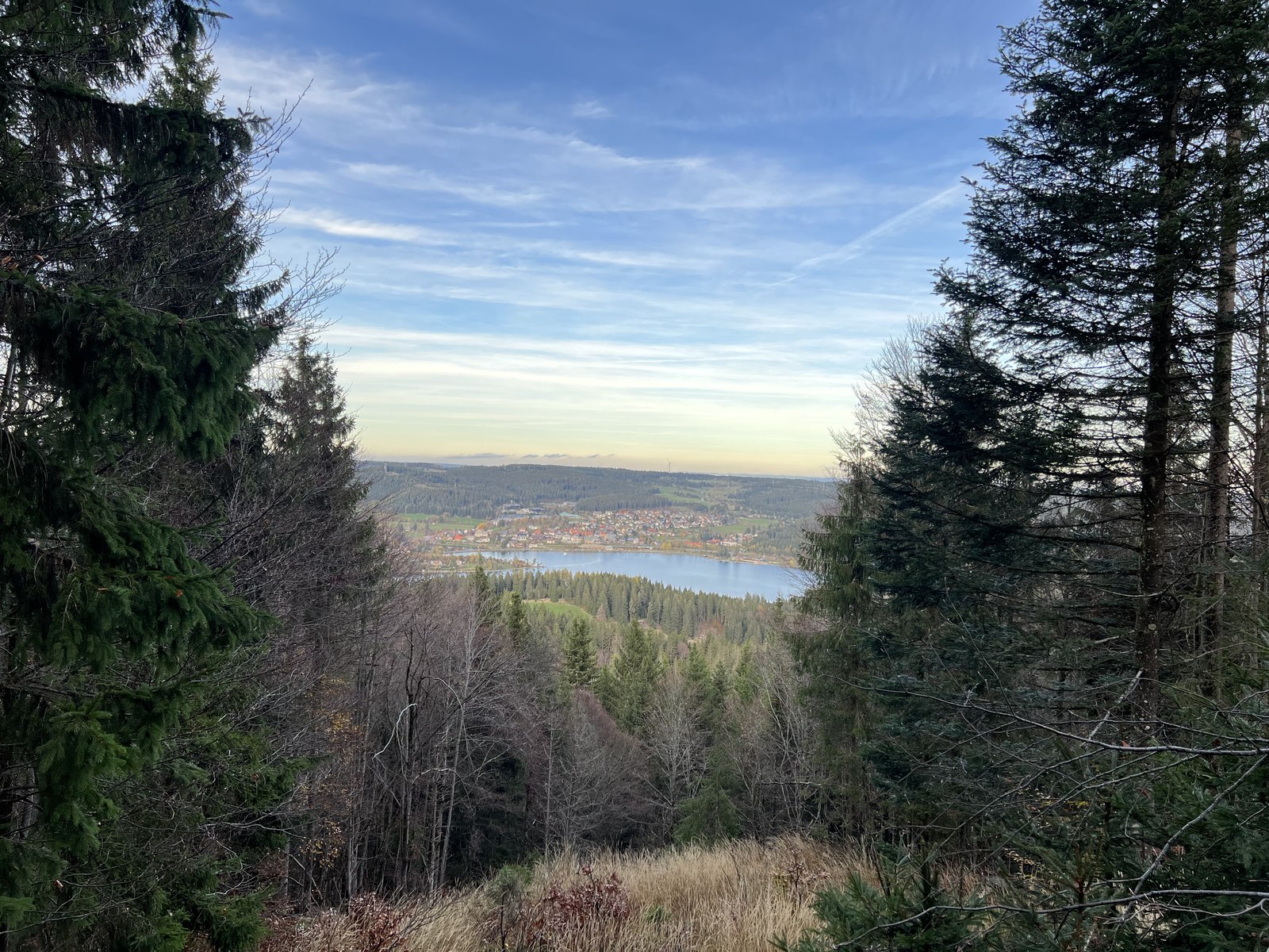 Schwarzwaldpanorama zwischen Wald und Bergen