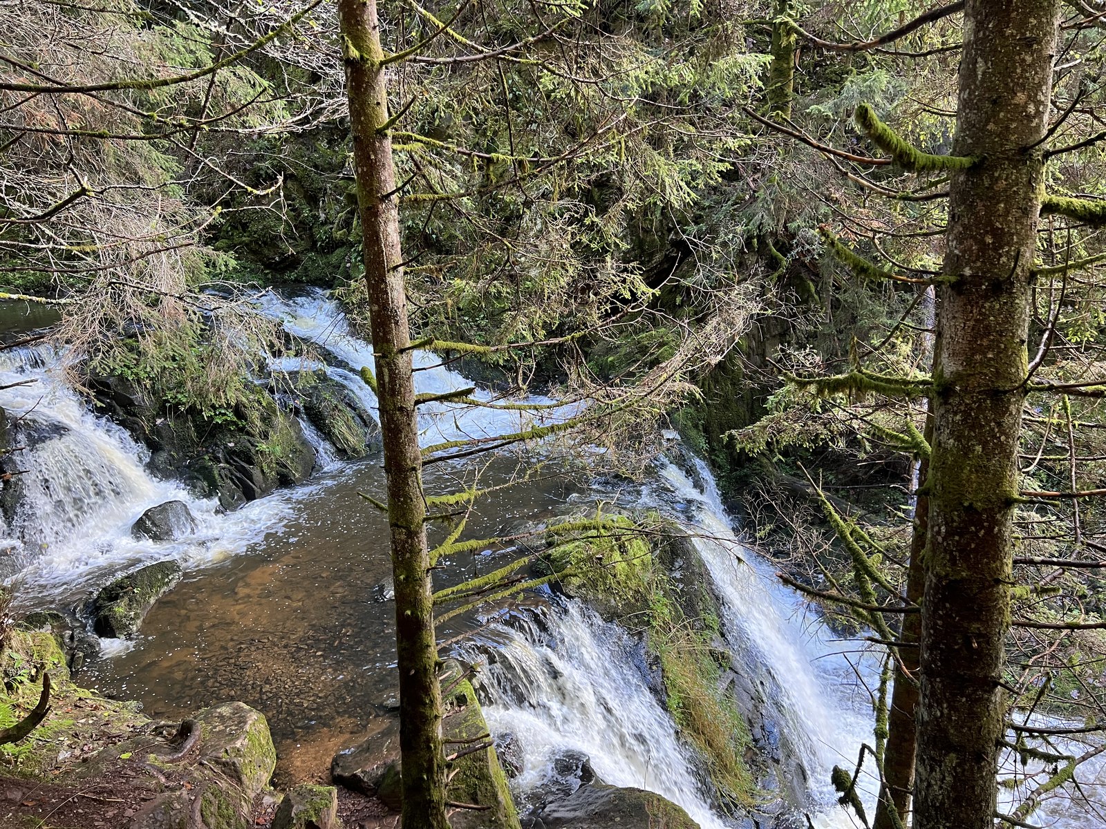 Wasserfall zwischen bemoosten Felsen