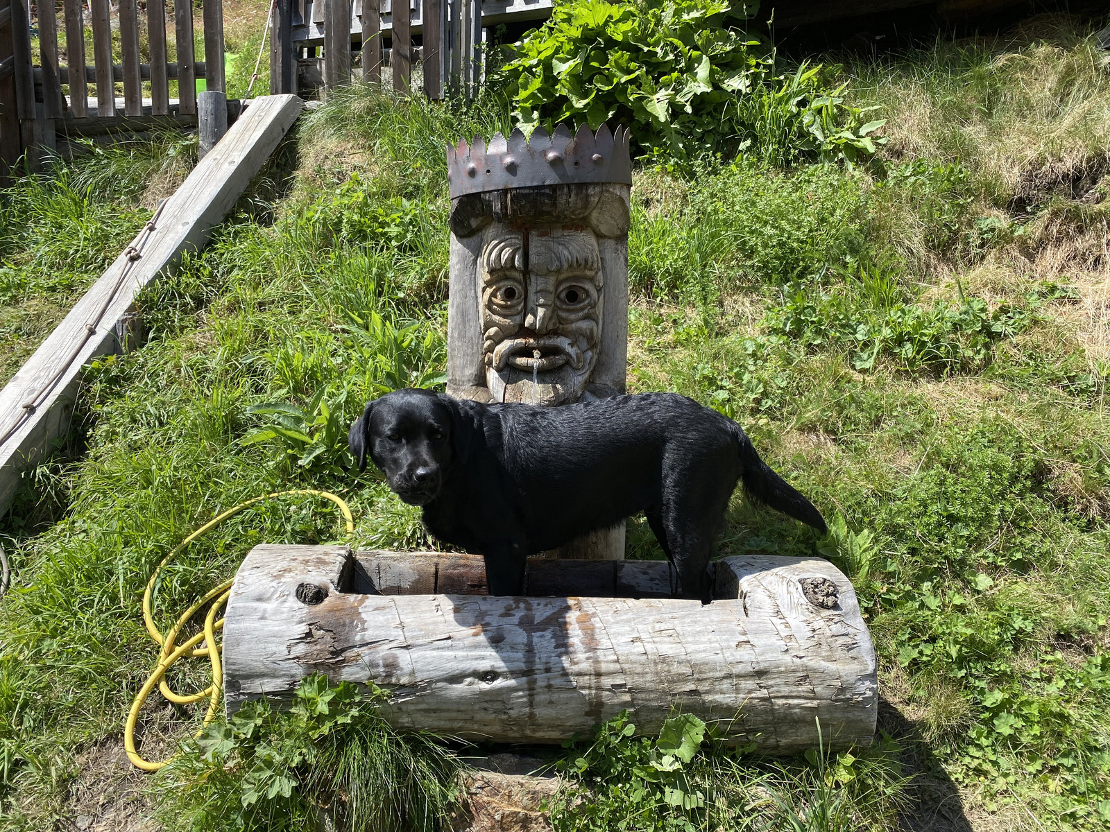 Luna neben einer geschnitzten Holzfigur im Ötztal