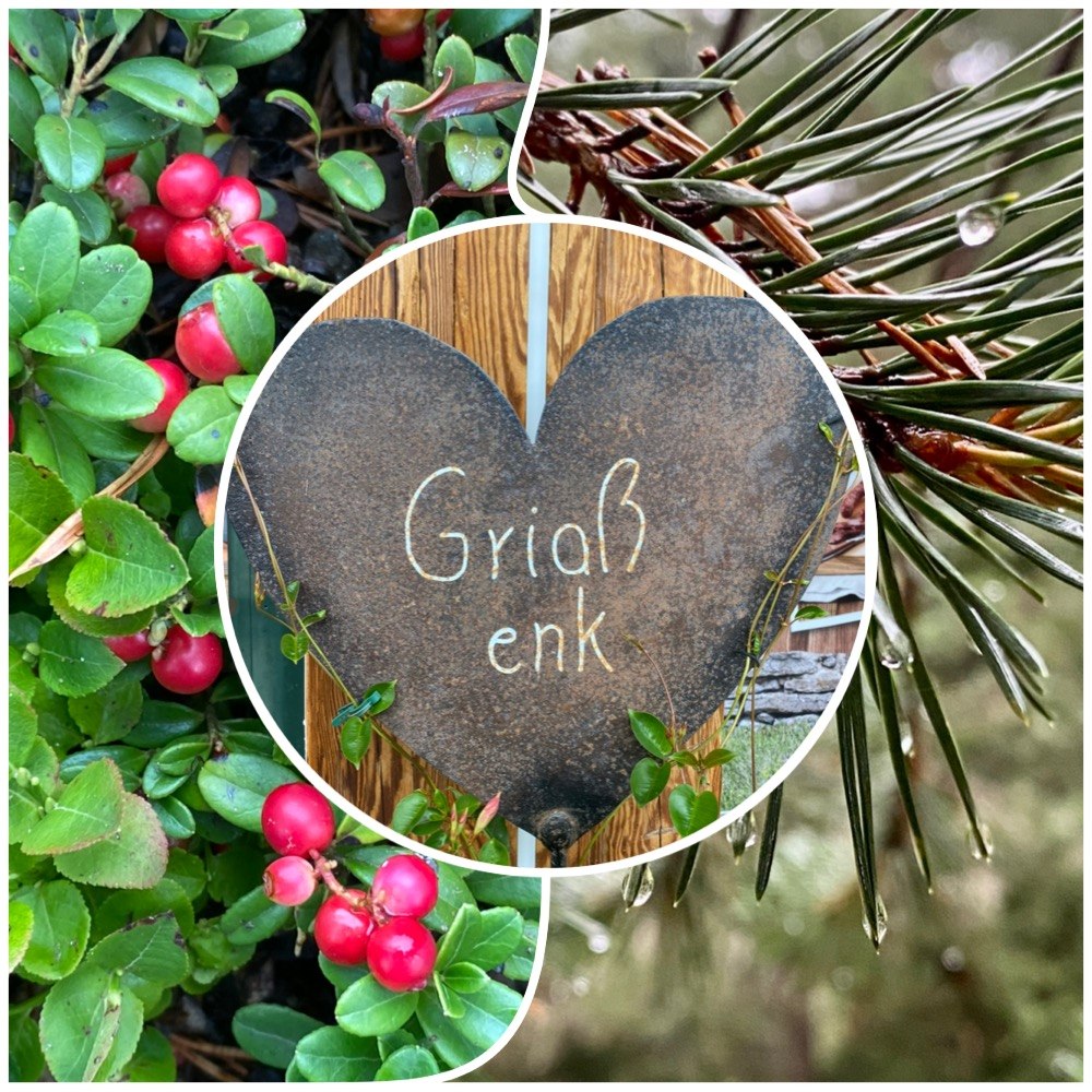 Herbstliche Beeren und Holzschild in den Tiroler Alpen